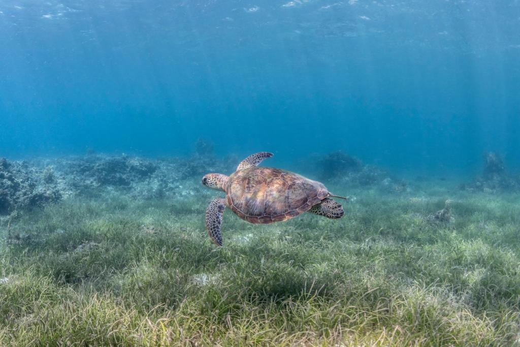 Sports and activities