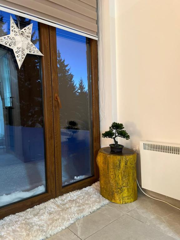 Apartman Vučko - 2
