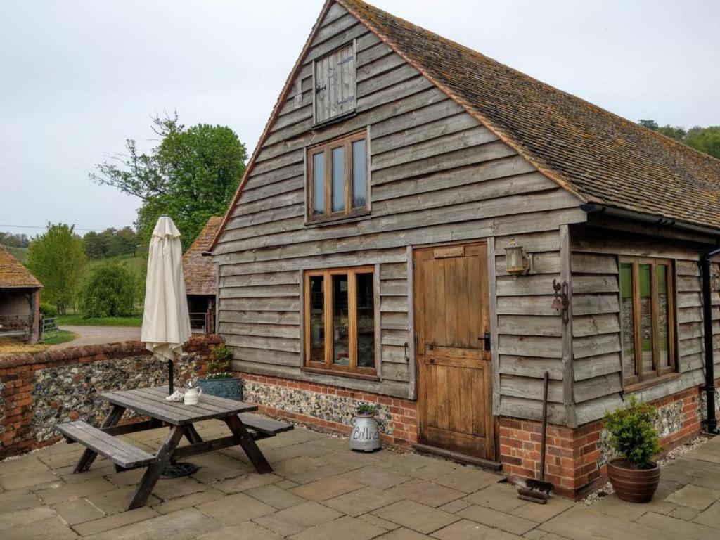 Bullrush at White Pond Farm, Henley on Thames
