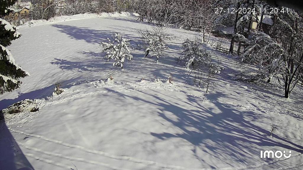 Jahorina Shack - 2