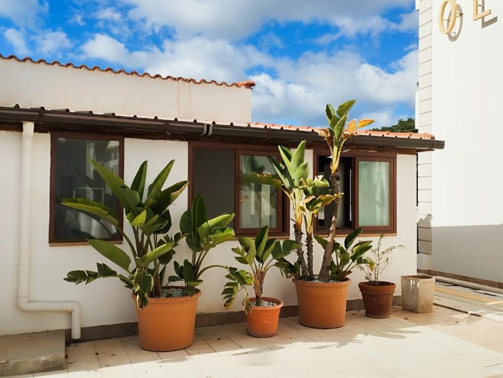 ROSA del SUD, Lampedusa