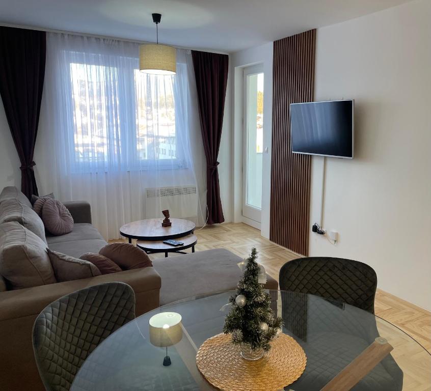 Apartman Centar G1 - 2