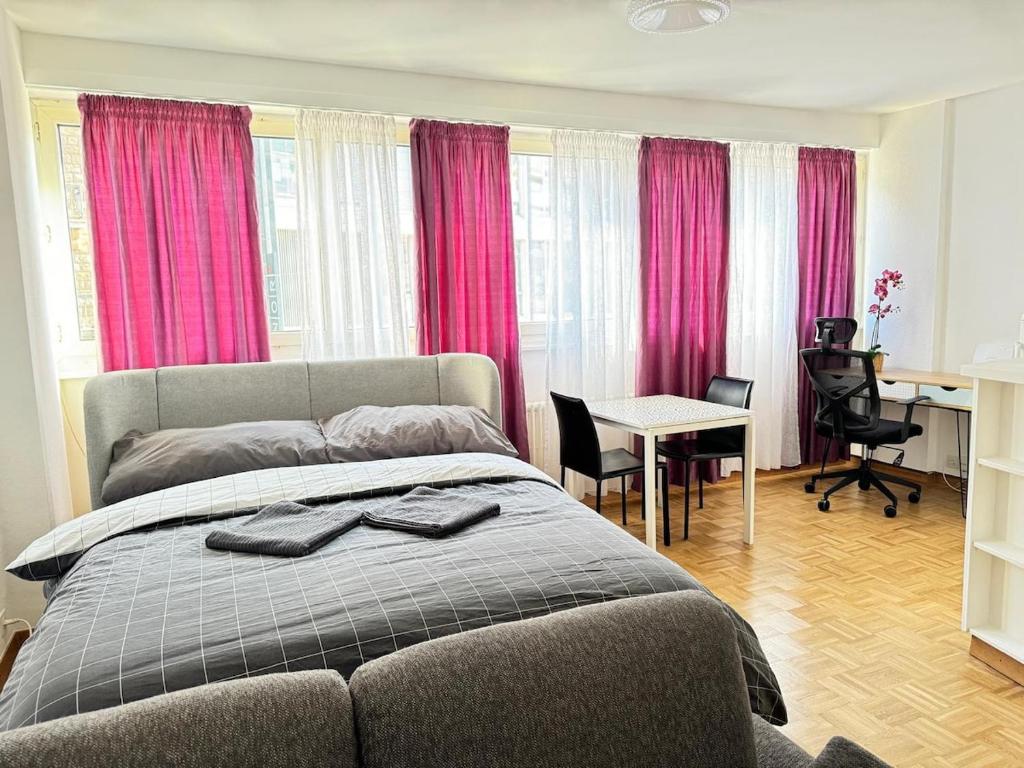 01 Convenient Central Studio - Station Station, Ženeva