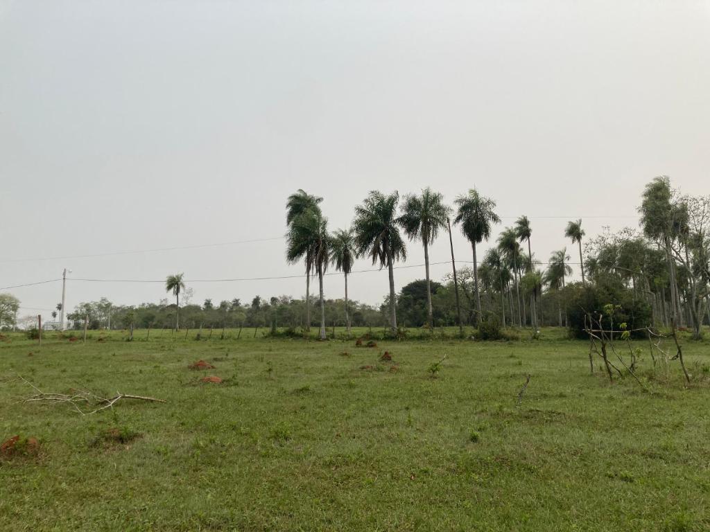 Yvyraty Camp - 3