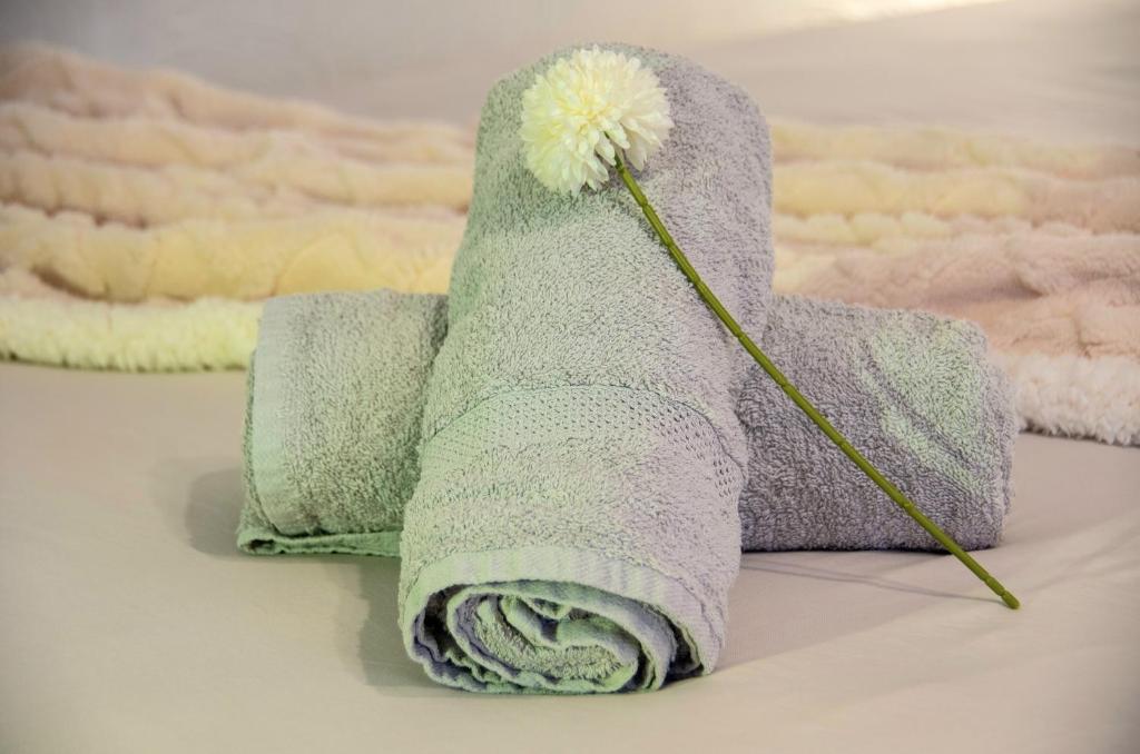 Studio confort, chic & spacieux Plage de Juan les pins & central - 5