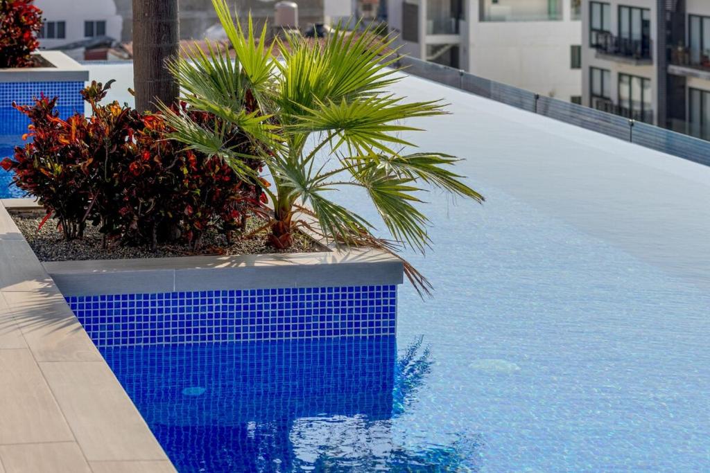 Luxurious 1BDR w King bed, private dipping pool and infinity pool with ocean views - 4