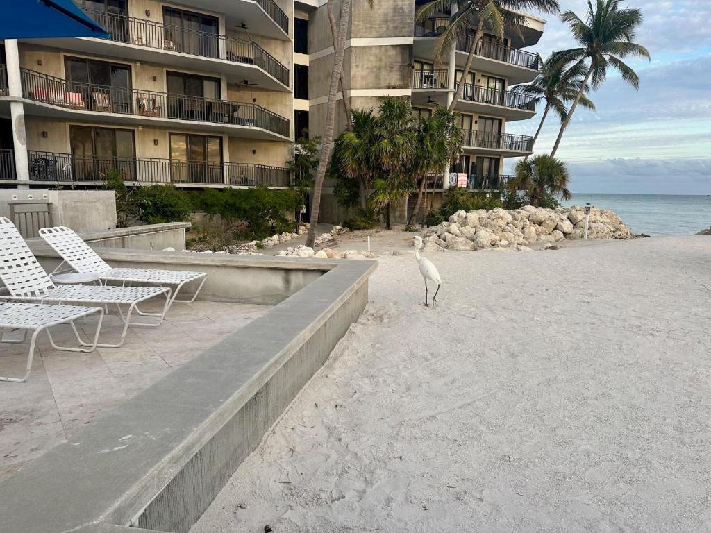 Botanical Island Delight, Key West