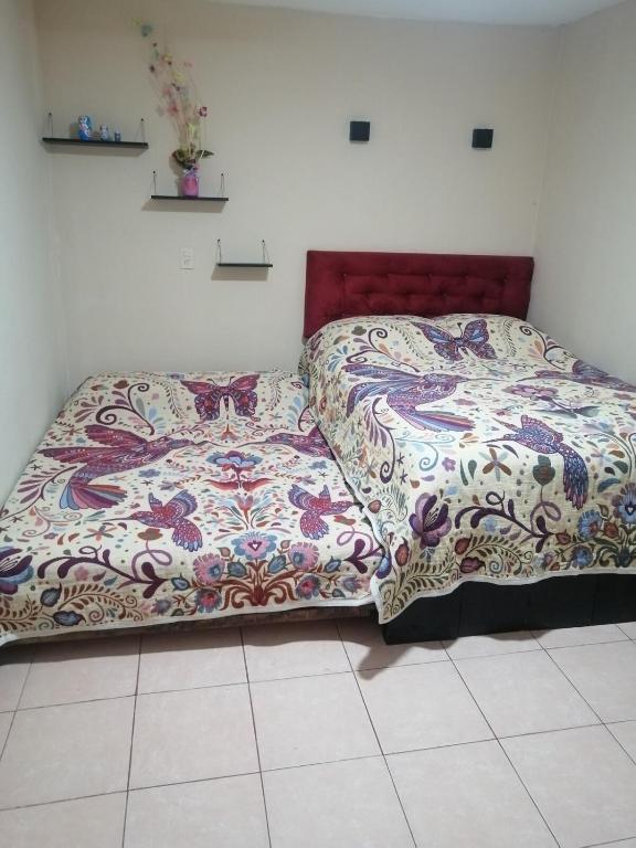 Casa koleto - 3