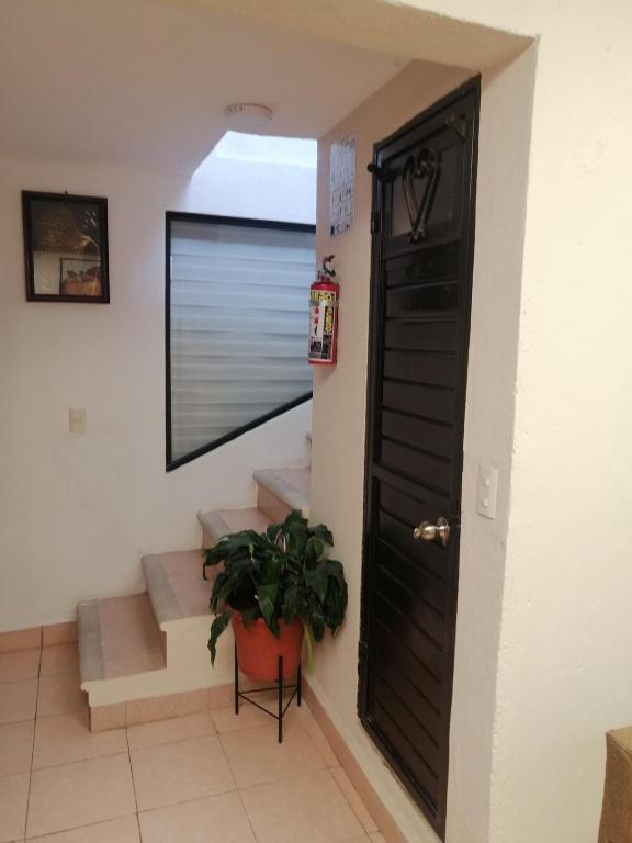 Casa koleto - 4