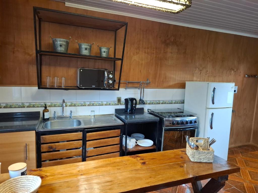 Se arrienda Cabaña por día en Puerto varas - 3