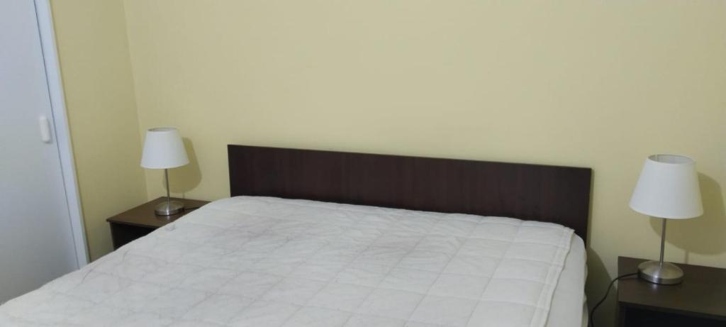 Arriendo Depto Diario Villa dulce - 5