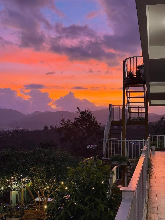 Dứa Homestay – Bảo Lộc
