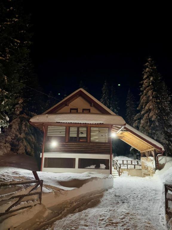 Winter cottage TT - 1
