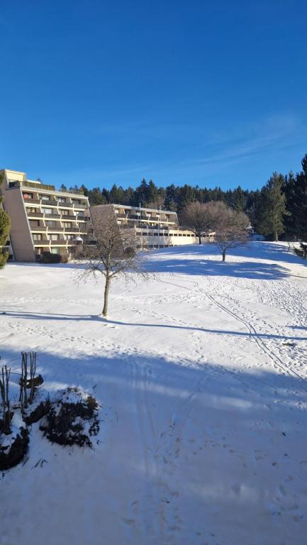 Zweizimmerwohnung - Ferienwohnung im Sankt Englmar - 3