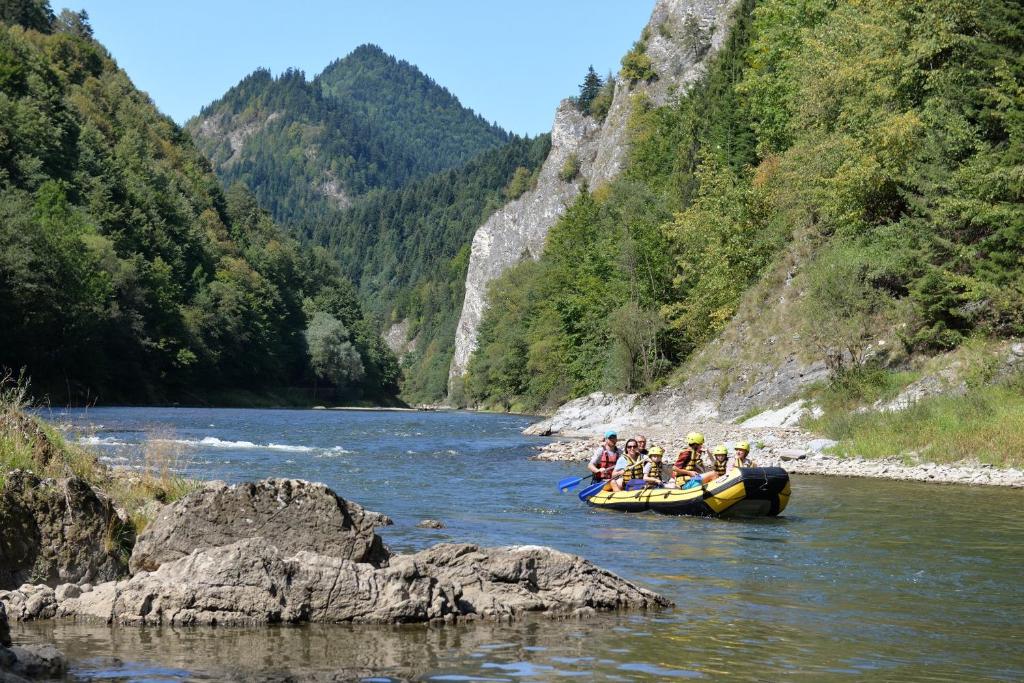 Surrounding environment