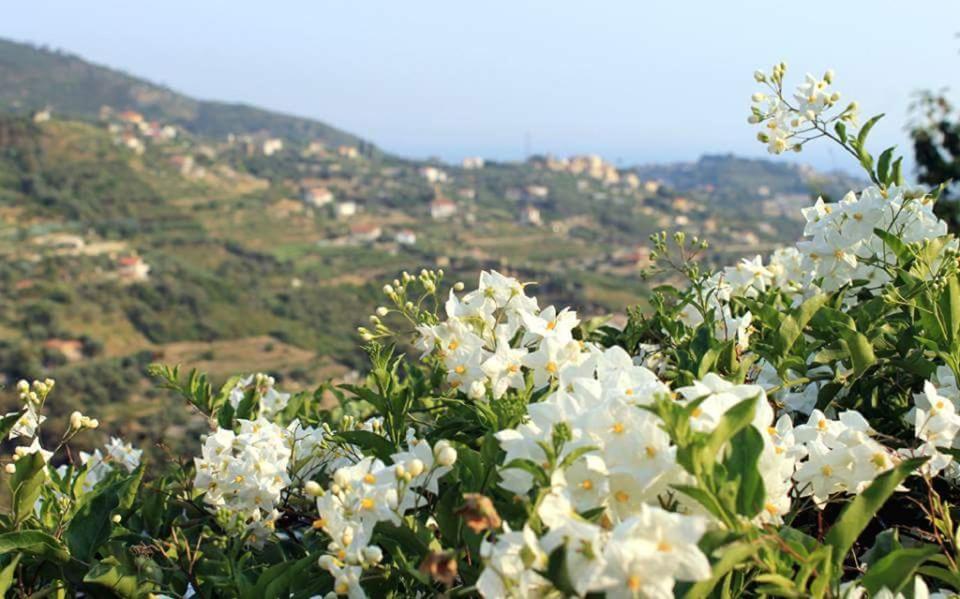 Agriturismo da Luì - 2