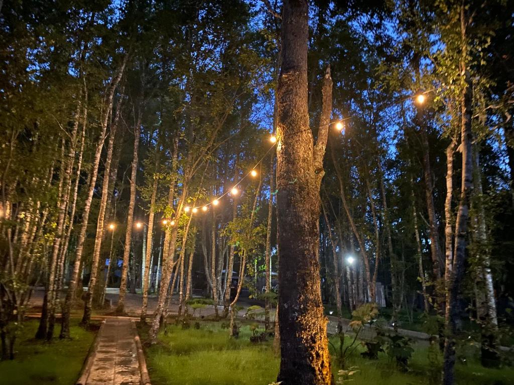 Boker Tov Pucon - 4