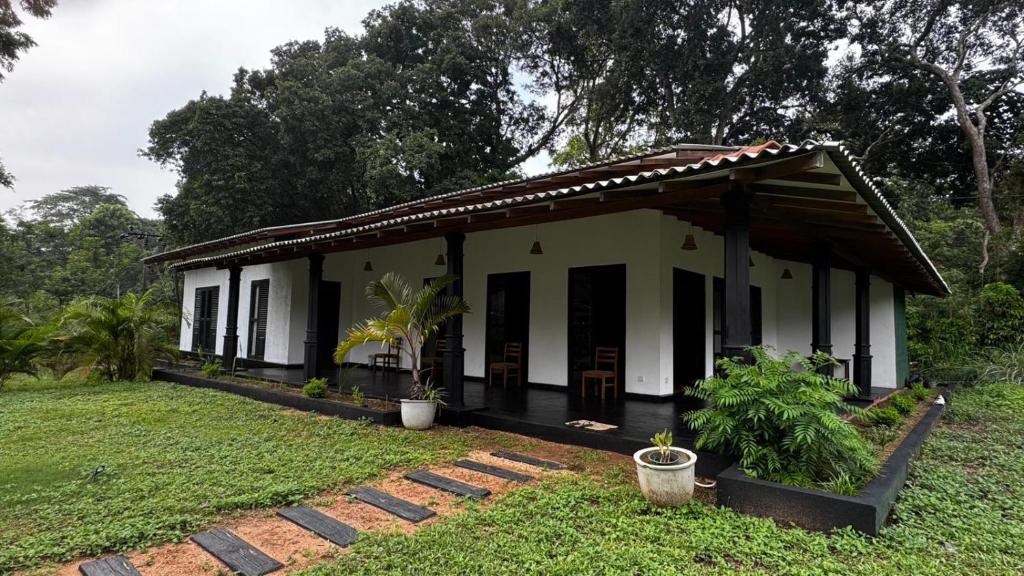 Island vibes by the Rock, Sigiriya