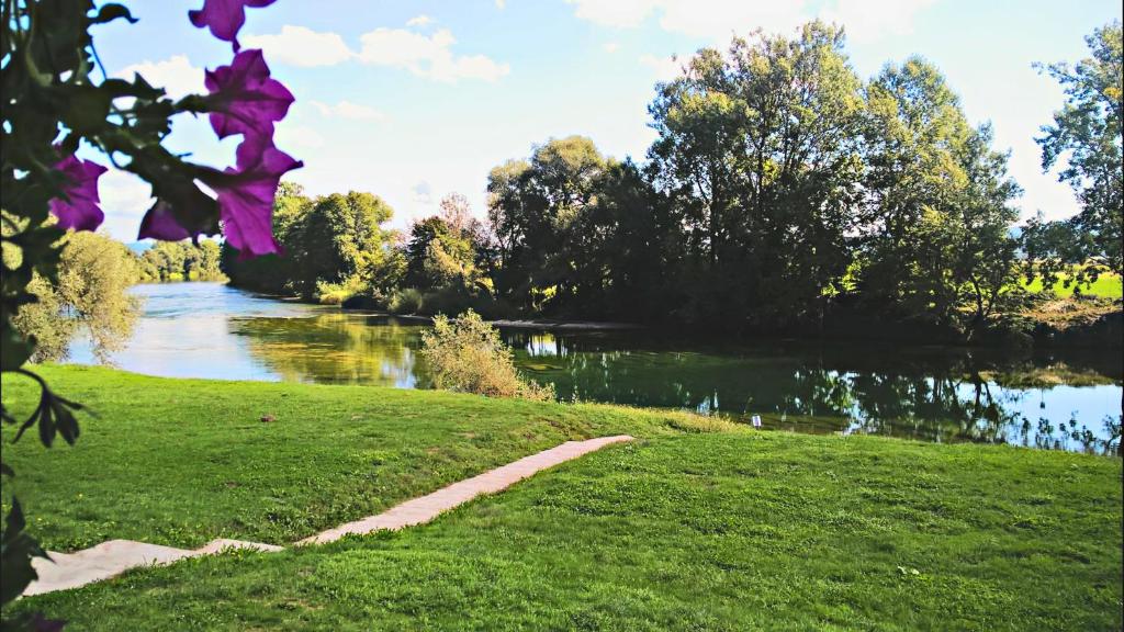 Holiday resort & camping Bela krajina - river Kolpa photo
