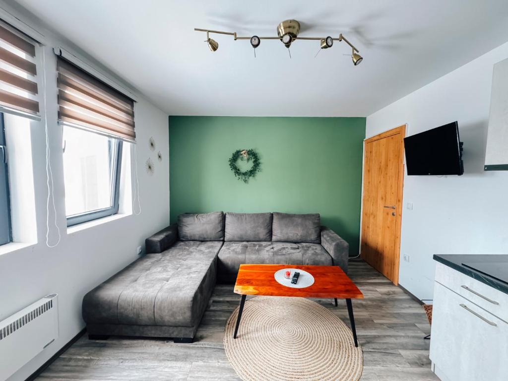 Ski2Door Apartment - Sunčani Breg, 50m from Ski Slope - 5