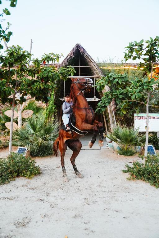 Horseback riding