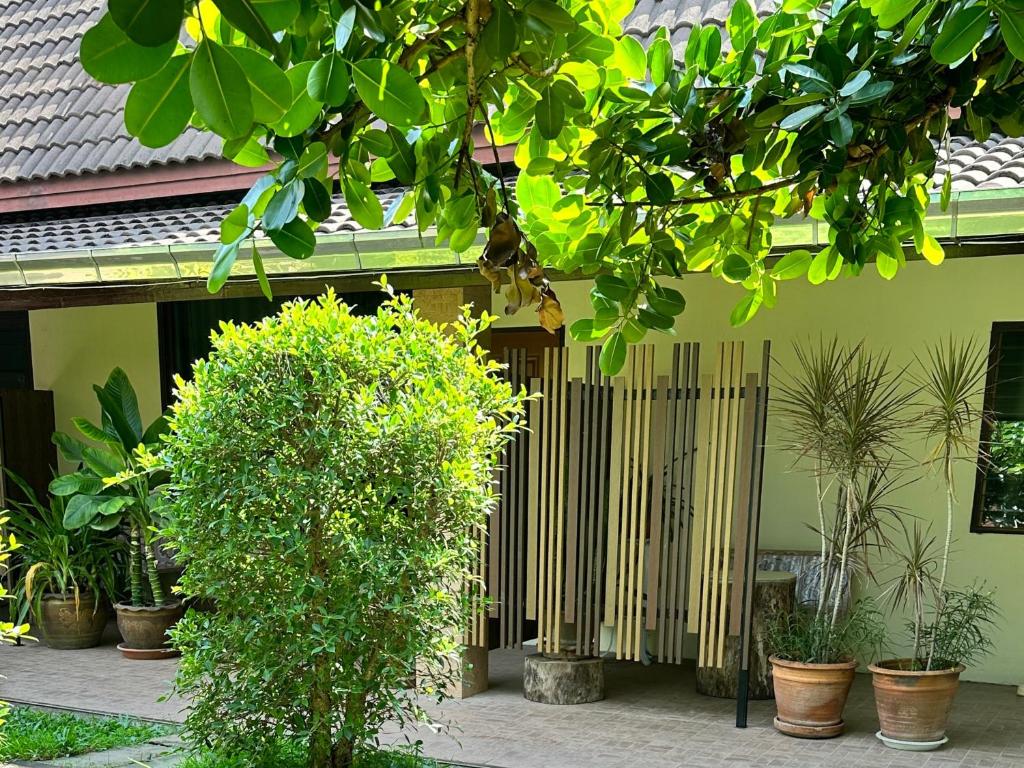 ทัศนียภาพ