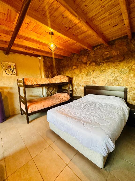 Uva Cabañas - 4
