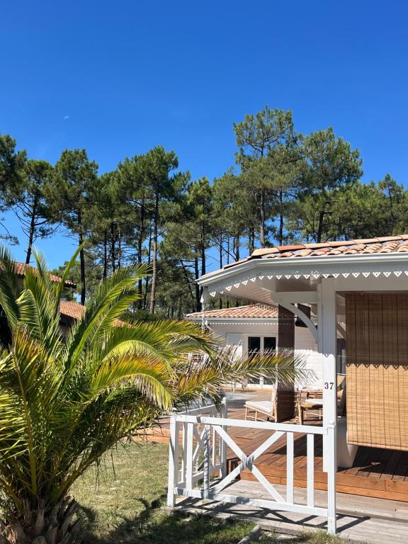 LA VILLA DES PINS - 4
