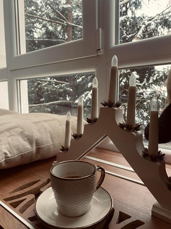 Kopaonik Apartman Nina - 3