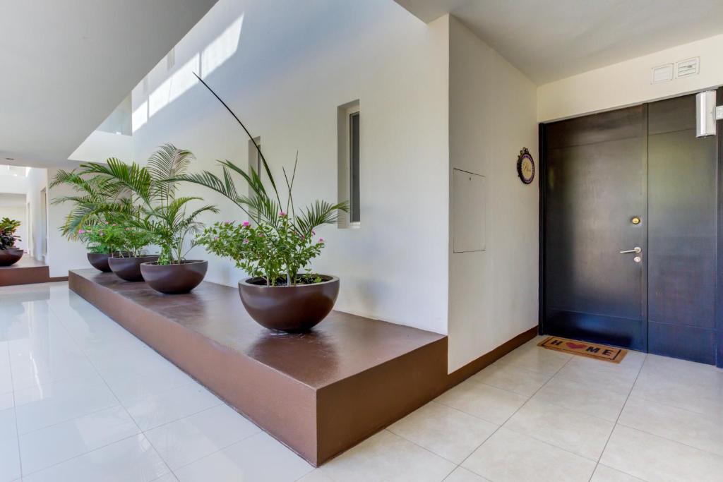 El Tigre, Ibiza Condos with Pool and Golf Views - 3