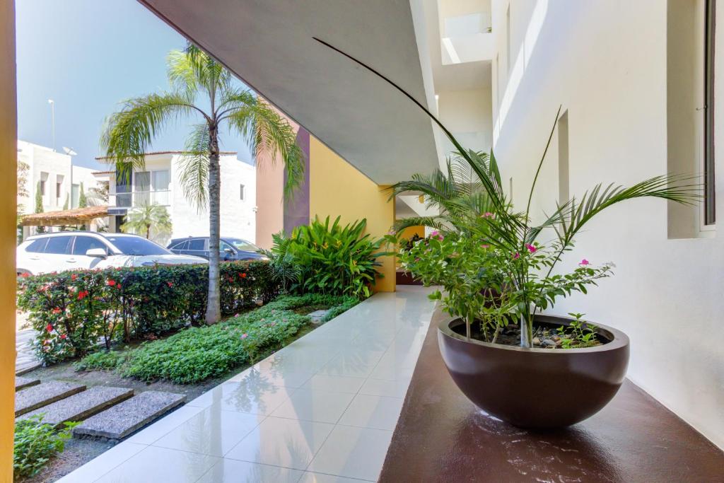 El Tigre, Ibiza Condos with Pool and Golf Views - 4