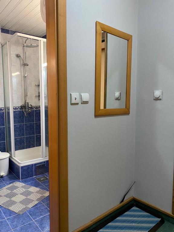 Kopaonik Vila Nikola 306 centar - 4