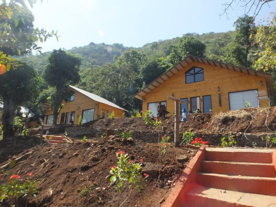 I-Camp Resort photo
