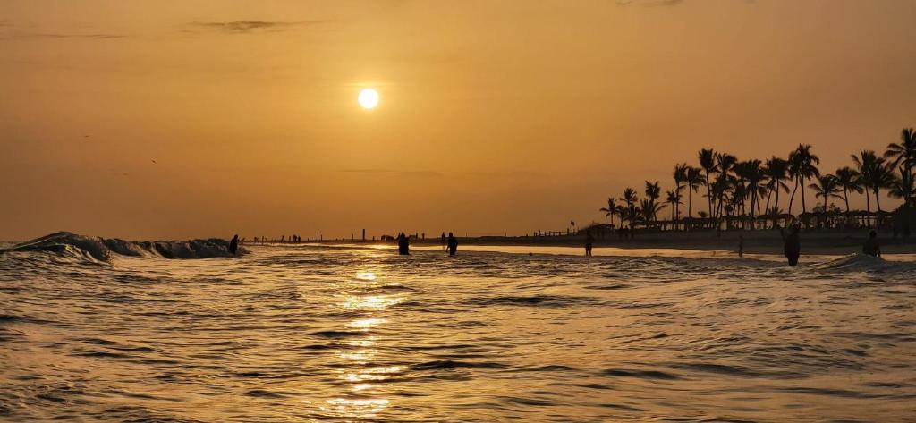 Sunset Hawana, Salála