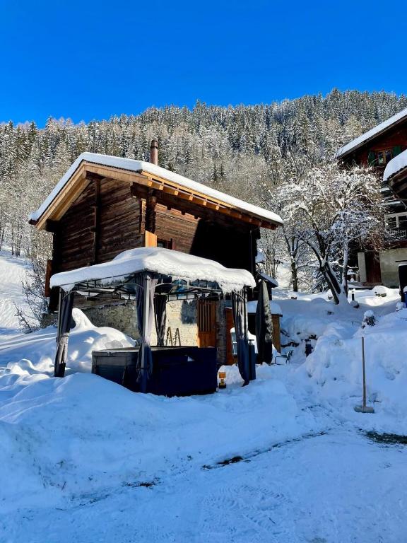 Walliser Stadel, Fieschertal