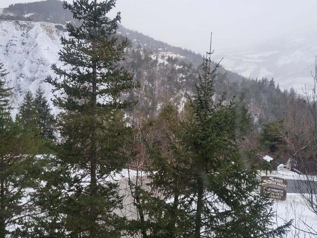 chalet LES GRANDES TERRES - 5