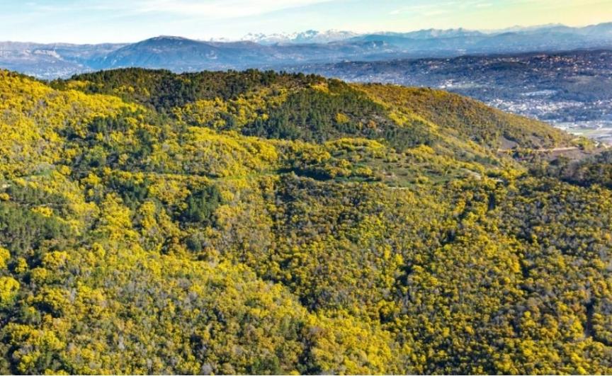 Studio indépendant dans màs provençal - 3