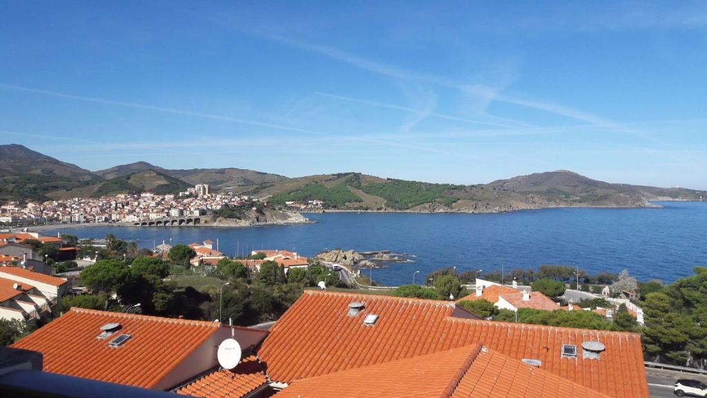 Appart 2 pièces 4 couchages BANYULS SUR MER BN120-2201 - 1