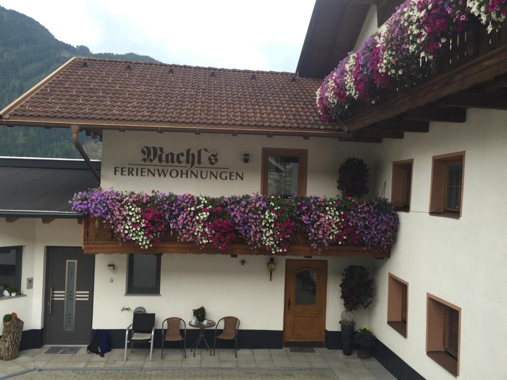Machls Ferienwohnungen - 1
