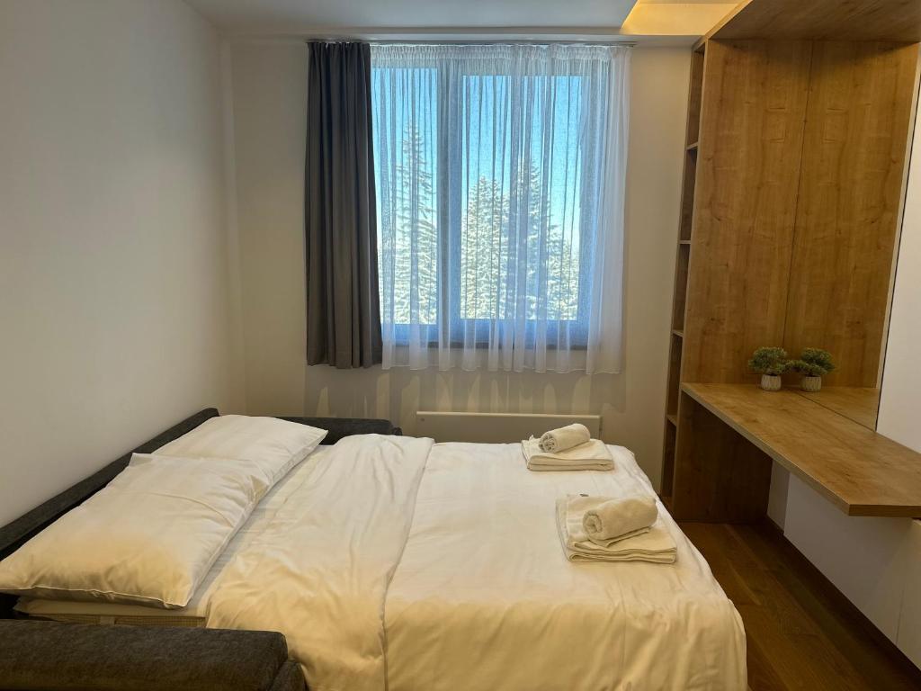 Snowtime Zlatni Javor 407 - 3