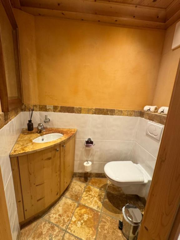 Schönstes Apartment am Hahnenkamm - 5