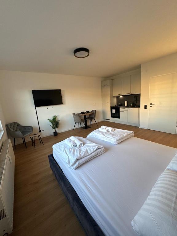 Union Suite Apartment Near Train Station, Linec