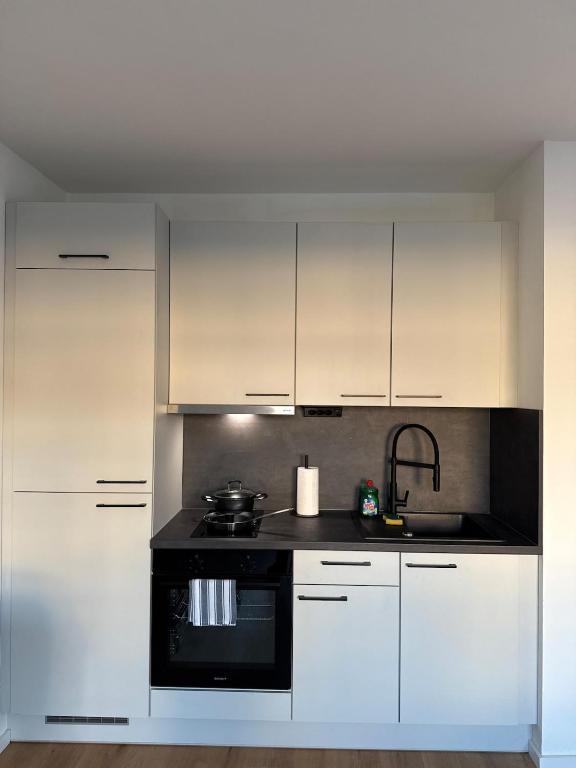Cozy Linz Apartment, 7 mins to Hauptbahnhof - 2