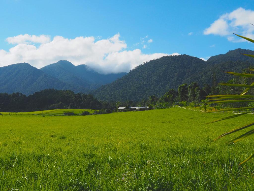 Surrounding environment