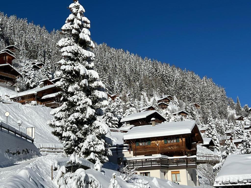 Chalet Etoile - 2