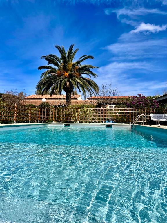 Le Râteau Bavoir, Calvi