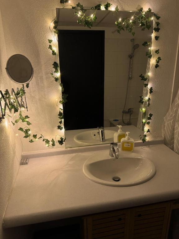 Jungle - Vue - Clim - Wifi - 3