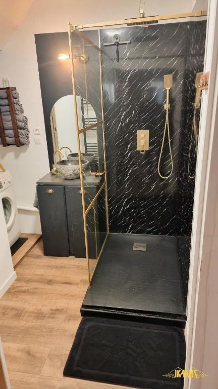 Bel appartement proche Annecy Aix-les-bains Genève - 5