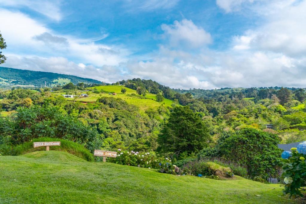 Surrounding environment