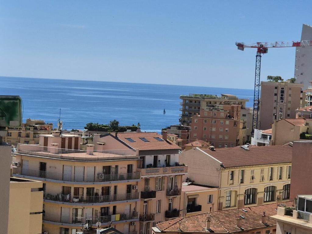 Apartment 6 minutes from Monaco train station - 5
